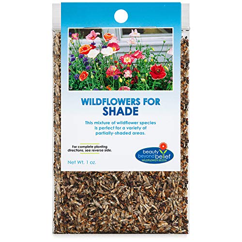 Partial Shade Wildflower Seeds Bulk – Open-Pollinated Wildflower Seed Mix Packet, No Fillers, Annual, Perennial Wildflower Seeds Year Round Planting – 1 oz