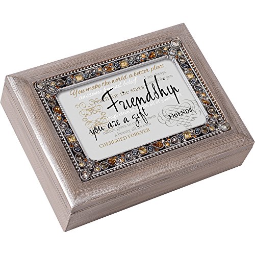 Cottage Garden Friendship You are a Gift Brushed Pewter Jeweled Music Box Plays What Friends are for