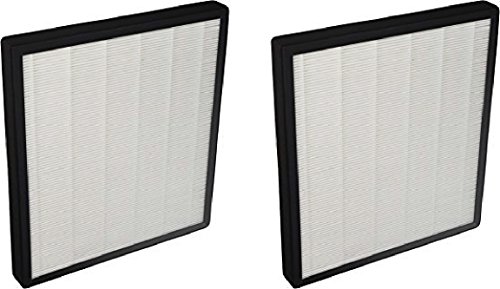 Nispira Replacement HEPA Filter Compatible with Surround Air Intelli-Pro XJ-3800 Air Purifier, 2 Filters