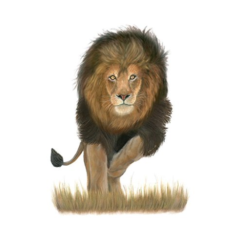 Male Lion With Flowing Mane Portrait, African Safari Art, Brown, Beige – Various Sizes Available