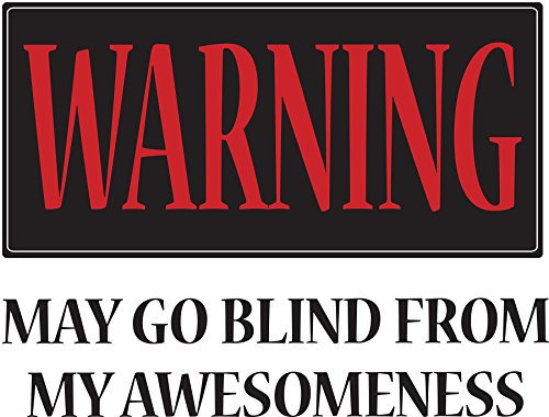 WallPops DWPQ2432 Warning May Go Blind Wall Quote, Multicolor