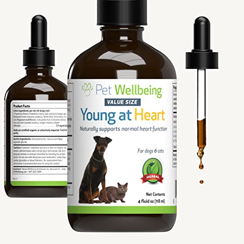 Pet Wellbeing Young at Heart for Dogs & Cats – Vet-Formulated – Supports Cardiovascular (Heart & Circulatory) Health – Natural Herbal Supplement 4 oz (118 ml)