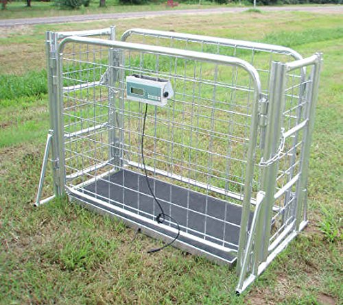 VS-660 hog Sheep Goat Scale with cage