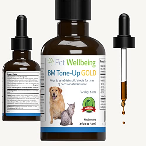 Pet Wellbeing BM Tone-Up Gold for Cats – Vet-Formulated – for Diarrhea & Loose or Runny Stools – Natural Herbal Supplement 2 oz (59 ml)