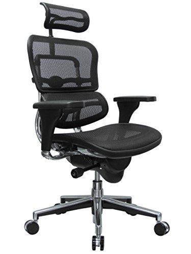 Eurotech Seating Ergohuman High Back Mesh Managers Chair, Black