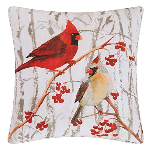 C&F Home 18×18-inch Indoor/Outdoor Canvas Pillow, Cardinals 18 x 18 Multi