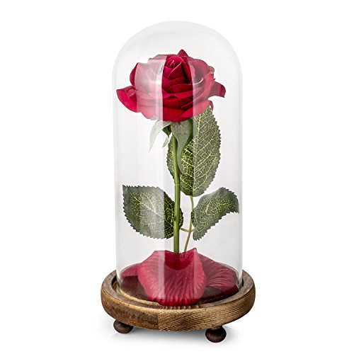 Beauty and The Beast Rose Kit, Red Rose and Led Light with Fallen Petals in Glass Dome on Wooden Base for Mother’s Day Home Decor Centerpieces Party Wedding Anniversary Decorations
