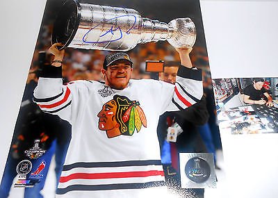 Andrew Shaw Chicago Blackhawks Autographed Signed Stanley Cup 8×10 Champs