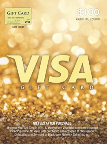 Visa $100 Gift Card (plus $5.95 Purchase Fee) | The Storepaperoomates Retail Market - Fast Affordable Shopping