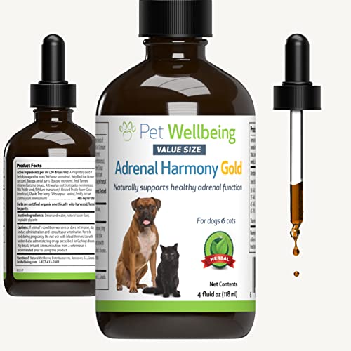 Pet Wellbeing – for Dog Cushing’s, Adrenal Support, Cortisol Balance – Adrenal Harmony Gold for Dogs – Vet-Formulated Natural Herbal Supplement 4 oz (118 ml)