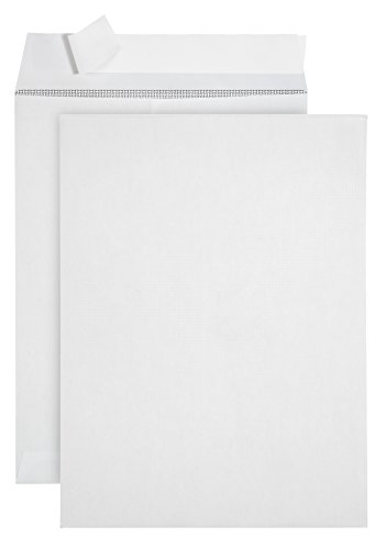 100 9 X 12 Self Seal Security Catalog Envelopes – Designed for Secure Mailing – Securely Holds up to 60 Sheets of Paper with Strong Peel and Seal Flap (100 Envelopes)