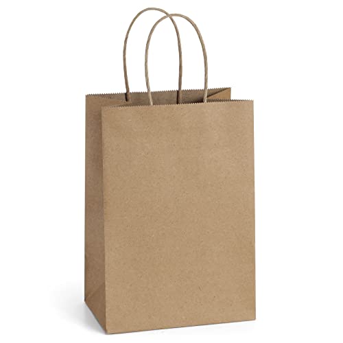 BagDream Kraft Paper Bags 100Pcs 5.25×3.75×8 Inches Small Paper Gift Bags with Handles Bulk, Paper Shopping Bags, Kraft Bags, Party Bags, Gift Bags (Brown)
