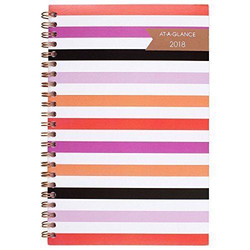 AT-A-GLANCE Weekly / Monthly Planner, January 2018 – December 2018, 4-7/8″ x 8″, Parasol (1064-200)