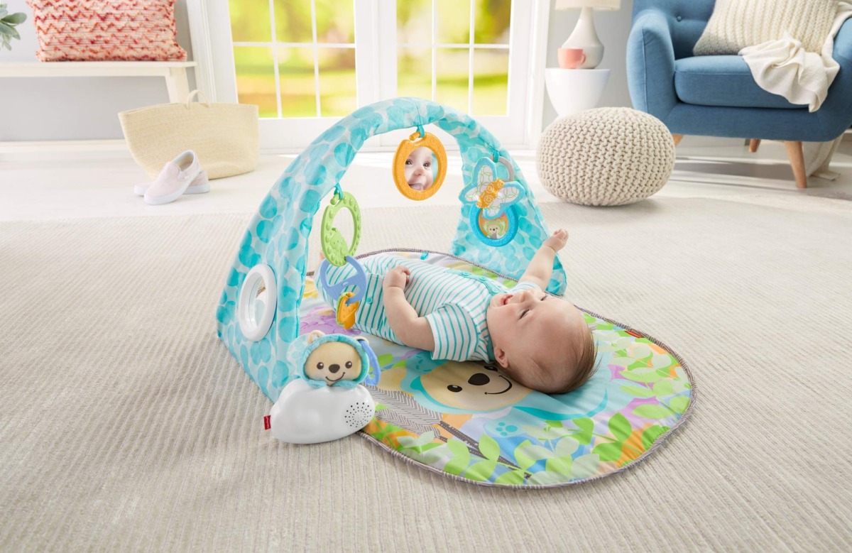 Fisher-Price Butterfly Dreams Musical Playtime Gym [Amazon Exclusive] | The Storepaperoomates Retail Market - Fast Affordable Shopping