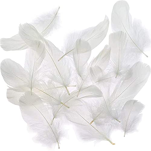 Coceca 500pcs 3-5 Inches White Feathers for DIY Craft Wedding Home Party Decorations