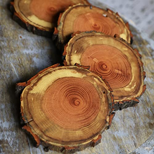 Rare Red Oak Natural Tree Wood Coasters with Bark (4 or 6 Pack), House Warming Gifts For New Home, Rustic Style Home Decor, Wooden Bar Coasters for Drinks and Coffee Tables