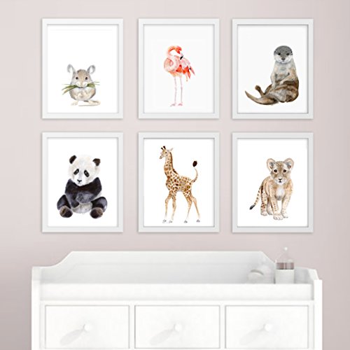 Animal Nursery Print Set of 6 Prints, Wildlife Portraits, Zoo Baby Animal Prints: Mouse, Flamingo, Sea Otter, Panda, Giraffe and Lion