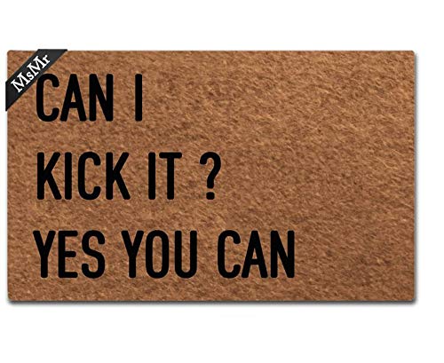 MsMr Doormat Entrance Floor Mat Can I Kick It Yes You Can Mat Indoor Decorative Home and Office Door Mat 23.6 by 15.7 Inch