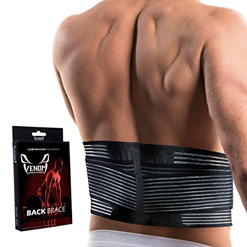 Venom Lumbar Back Brace Compression Belt – Elastic Support & Adjustable Dual Straps, Lower Back Pain, Spasm, Strain, Herniated Disc, Sciatica, Scoliosis, Disc Bulge, Lifting, Men, Women (Large)