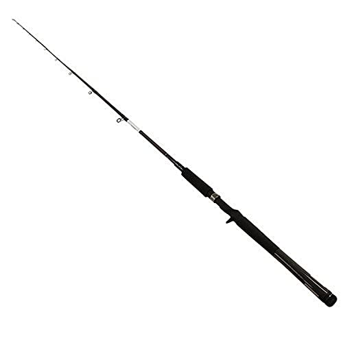 Daiwa RG76TMHFB RG Walleye Freshwater Casting Rod, 7’6″ Lengthm 1pc, 10-20 lb Line Rate, 1/4-1 oz Lure Rate, Medium/Heavy Power