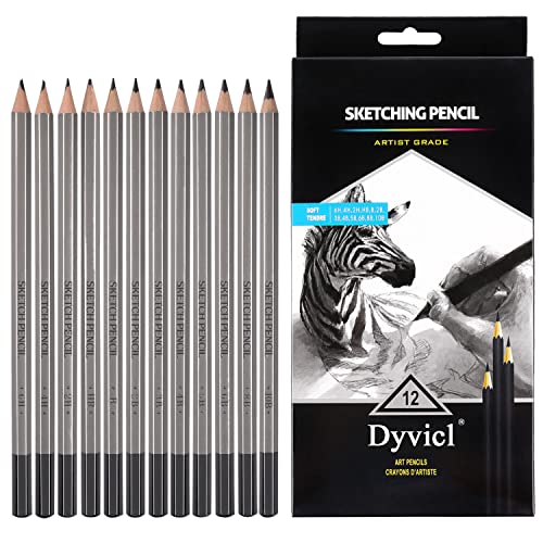 Dyvicl Professional Drawing Sketching Pencil Set – 12 Pieces Drawing Pencils 10B, 8B, 6B, 5B, 4B, 3B, 2B, B, HB, 2H, 4H, 6H Graphite Pencils for Beginners & Pro Artists