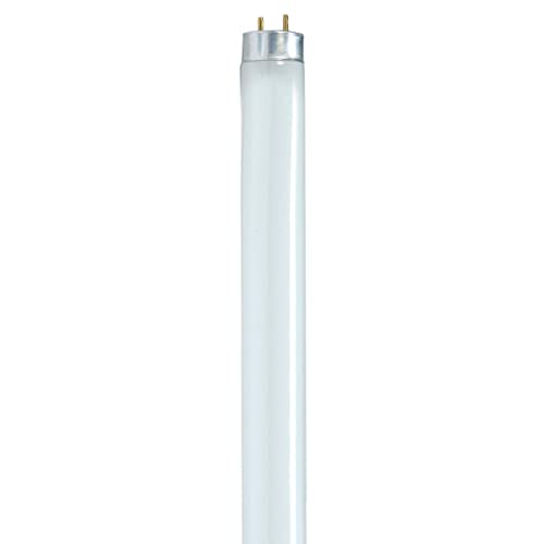 Satco S8428 – 32 Watt; T8; Fluorescent; 4100K Cool White; 85 CRI; Medium Bi Pin base (30 Pack)