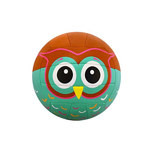 Molten MS500 Owl Volleyball