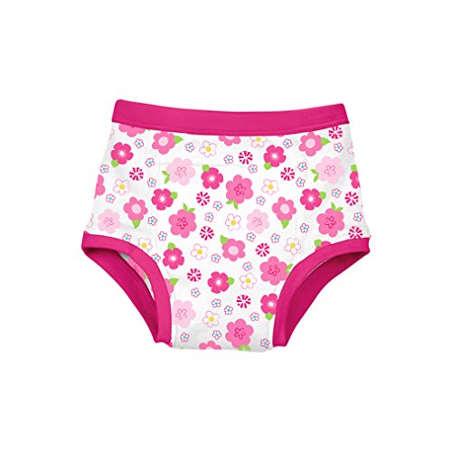 Reusable Absorbent Training Underwear-Hot Pink Floral-4T