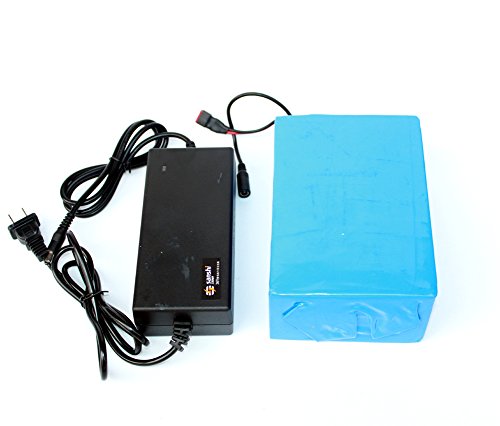 36V 12Ah Electric Bike Lithium Battery with Charger Electric Scooter Battery Can Put in Our Battery Bag