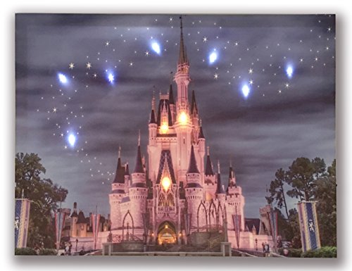 Hong Art- Lighted Canvas Prints with 9 LED Lights – Disney Resort Photo Castle Picture- Wall Art for Home Decor-12×16 Inch HA-17-CP-052
