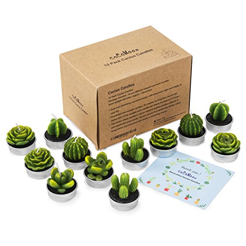 Cactus Tealight Candles,12 Pieces Handmade Delicate Succulent Cactus Candles for Party Wedding Spa Home Decoration Gifts