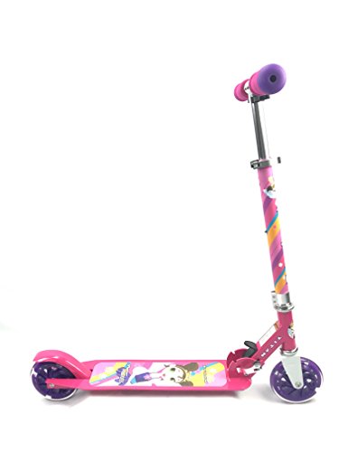 TITAN Flower Princess Folding Aluminum Girls Folding Kick Scooter with LED Light Up Wheels (Age 5+), Pink