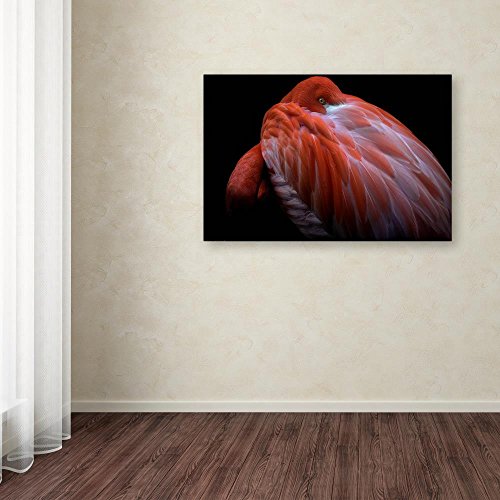 Shy by Ilias Nikoloulis, 12×19-Inch Canvas Wall Art | The Storepaperoomates Retail Market - Fast Affordable Shopping