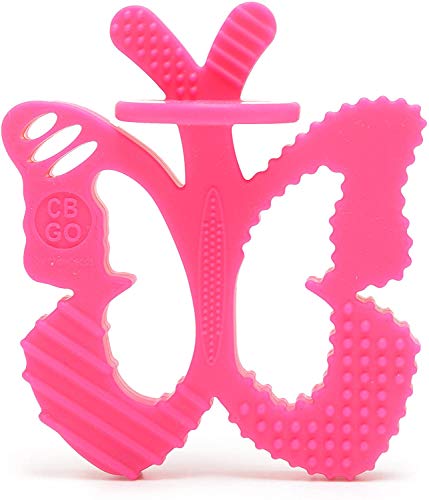 Chewbeads – Chewpal – 100% Silicone Teething Toy with Training Brush for Infants, Babies & Toddlers – Textured Baby Teether – Medical Grade Silicone, BPA Free & Phthalate Free