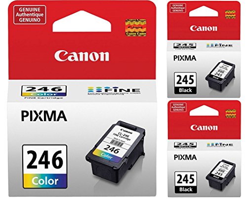 Genuine Canon PG-245 Black Ink Cartridge – 2 Pieces (8279B001) + Canon CL-246 Color Ink Cartridge (8281B001)