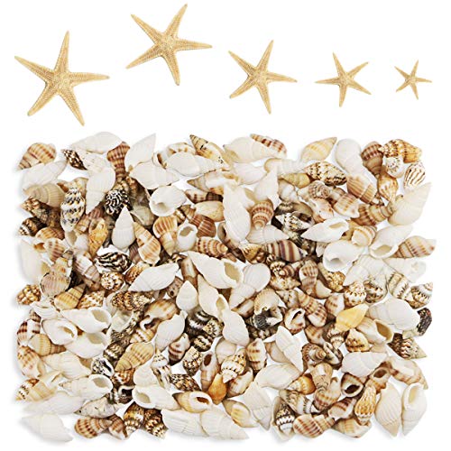 Yexpress 186 pcs Mini Tiny Sea Shells Mixed Ocean Beach Seashells, Natural Starfish for Home Decorations, Beach Theme Party, Candle Making, Wedding Decor, DIY Crafts, Fish Tank and Vase Filler