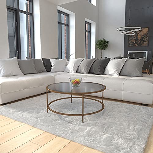 Flash Furniture Astoria Collection Round Coffee Table – Modern Clear Glass Coffee Table – Brushed Gold Frame