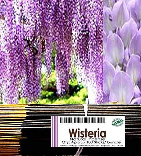 Natural Premium Incense By Oakland Gardens (W) Wisteria Incense – Intoxicating Sweet Fragrance of Wisteria Blooms with Lilac Flowers and Japanese Honeysuckle Wisteria (100 Sticks)