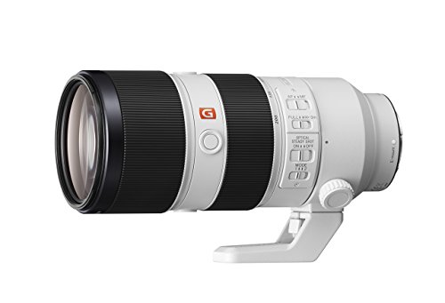 Sony FE 70-200mm f/2.8 GM OSS Lens (Renewed)