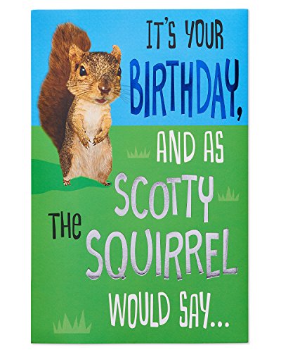 American Greetings Funny Birthday Card (Squirrel)