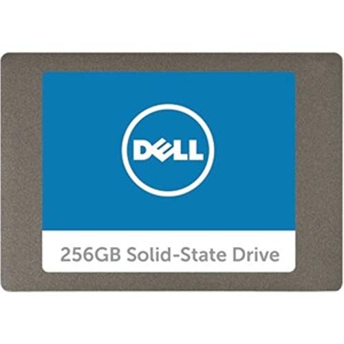 Dell Serial ATA Solid State Hard Drive – 256 GB