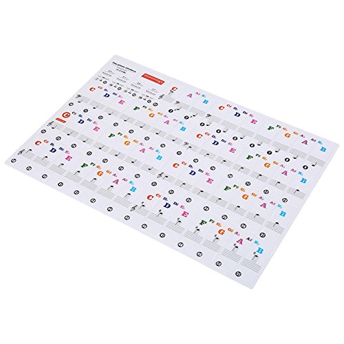 VGEBY 61/88 Keys Piano Stickers, Transparent Removable Keyboard Double Layer Coating for Kids and Beginners(Colored) | The Storepaperoomates Retail Market - Fast Affordable Shopping