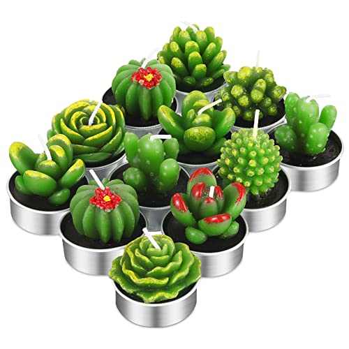12 Pieces Cactus Tealight Candles Handmade Delicate Succulent Cactus Candles for Party Wedding Spa Home Decoration Gifts (Simple Style)