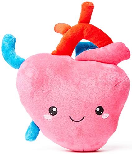 nerdbugs Heart Plush – I Aorta to Tell You How Much I Love You!- Adorable, Cute and Funny Cardiology Heart Plush/ Health Educational Gift/ Heart Surgery Gift/ Heart attack gift
