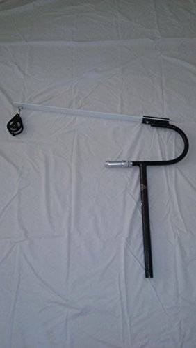 Rodzilla Fishing Rod (Black)