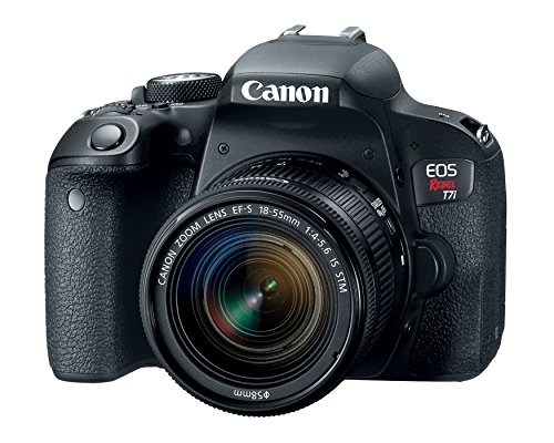 Canon EOS Rebel T7i DSLR Camera with 18-55mm Lens – Black (Renewed)