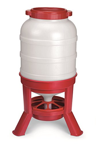 LITTLE GIANT Plastic Dome Feeder (60 Lb) Heavy Duty Plastic Gravity Fed Poultry Feed Container Tank (Red) (Item No. DOMEFDR60)