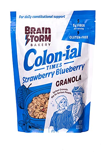 Colonial Times Blueberry Granola Cereal – All Natural, Healthy Breakfast or Snack – 12 oz Bag