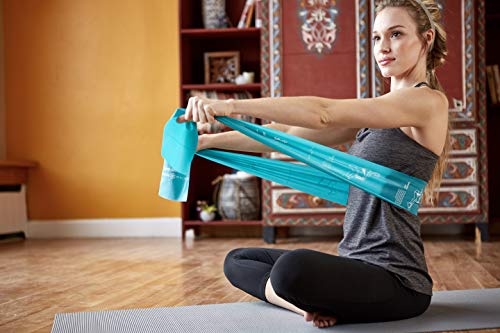 Gaiam Restore Resistance Band Strength & Flexibility Kit with Self-Guided Exercise Illustrations Printed on Bands, Gray, Blue, Green, 1 EA | The Storepaperoomates Retail Market - Fast Affordable Shopping