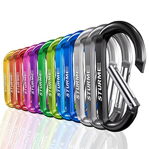 3″ Aluminum D Ring Carabiners Clip D Shape Spring Loaded Gate Small Keychain Carabiner Clip Set for Outdoor Camping Mini Lock Snap Hooks Spring Link Key Chain Durable Improved 12 PCS (Assorted)